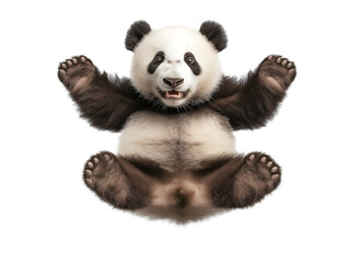 photo of a panda floating mid-air on isolated  background

