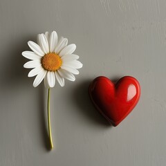 Obraz premium Single white daisy with yellow center next to red heart, neutral beige background, symbolizing love and purity, nature, floral, romance, isolated object, high quality, close-up photography