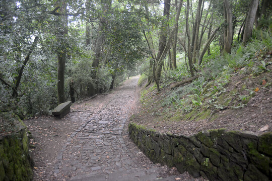 Monte Urgul in San Sebastian in Spain