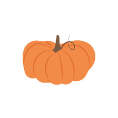 Large pumpkin for fall harvest. Vector illustration for thanksgiving and festive autumn content