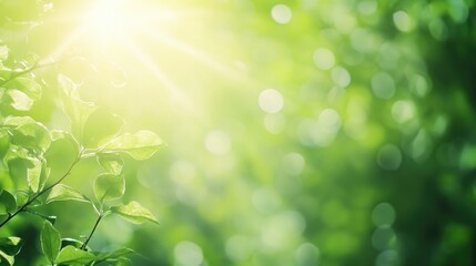 Obraz premium Vibrant green blurred backdrop with rays of sunlight streaming through, offering a fresh and rejuvenating feel.