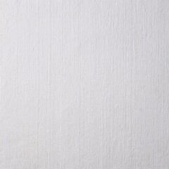 Fototapeta premium White Texture Paper Background