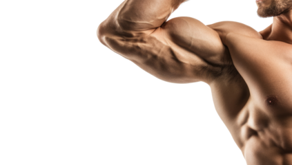 close up of muscular male torso