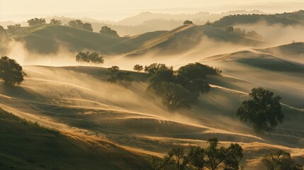 Obraz premium Misty Morning Landscape.
