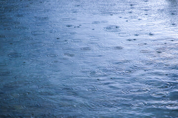 水面に落ちる雨