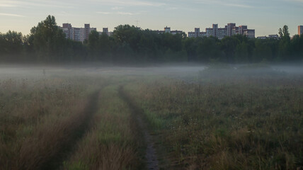 Fototapeta premium A soft summer morning mist drapes the fields near the city at the end of August, weaving through the golden grasses and whispering the promise of a new day.