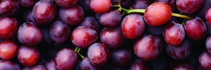 Fototapeta premium Close-Up of Fresh Red Grapes - A cluster of plump, ripe red grapes, symbolizing abundance, health, sweetness, and nature's bounty.