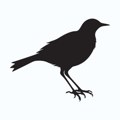Bird Silhouette icon