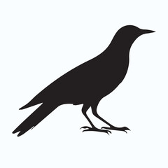 Bird Silhouette icon