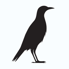 Bird Silhouette icon