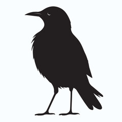 Bird Silhouette icon