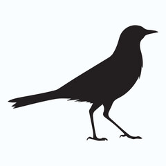 Bird Silhouette icon