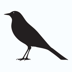 Bird Silhouette icon