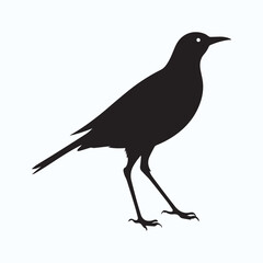 Bird Silhouette icon