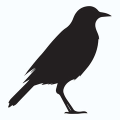 Bird Silhouette icon