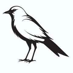 Bird Silhouette icon
