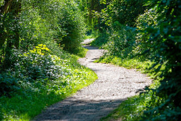 Ein Fußpfad im Wald eines Parks