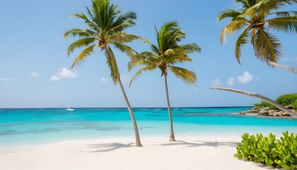 beach with palm trees