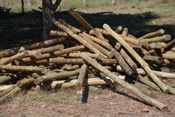 Eucalyptus timber are heavily treated to specifically be used for use garden edging, fence posts, retaining walls and easy to work with.