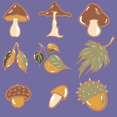 set of mushrooms autumn, leaf fall, different types of mushrooms, leaves, chestnut set, food, icon, illustration, summer, collection, beach, cartoon, symbol, design, autumn, tree, leaf, sweet, chocola