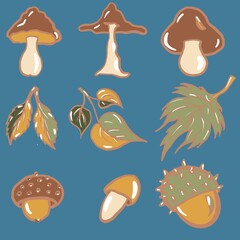 set of mushrooms autumn, leaf fall, different types of mushrooms, leaves, chestnut set, food, icon, illustration, summer, collection, beach, cartoon, symbol, design, autumn, tree, leaf, sweet, chocola