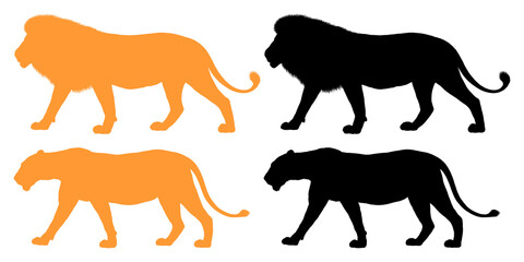 Silhouette illustrations of male and female lions isolated on transparent background