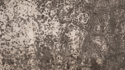 Abstract background. Monochrome texture. The image includes a black and white tone effect. Abstract cement wall shape by weather. Grunge effect wall.