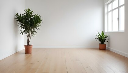 A minimalist white room with a wooden floor and a potted plant in the corner.