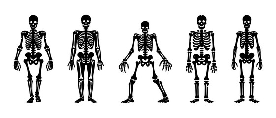 Halloween skeleton silhouette black filled vector Illustration icon