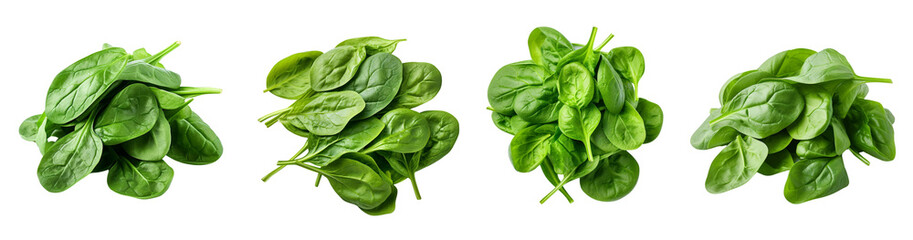Fototapeta premium Fresh spinach leaves ,PNG