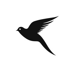 Obraz premium bird vector graphic, eagle, hawk, duck, seagull, owl, crow, raven, birdie, sparrow, black and white, colourful graphic