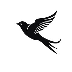 Obraz premium bird vector graphic, eagle, hawk, duck, seagull, owl, crow, raven, birdie, sparrow, black and white, colourful graphic