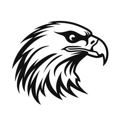 Obraz premium bird vector graphic, eagle, hawk, duck, seagull, owl, crow, raven, birdie, sparrow, black and white, colourful graphic