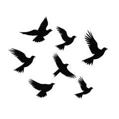 bird vector graphic, black and white, silhouette, colourful