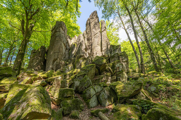 Kletterfelsen der Steinwand bei Poppenhausen in der Rh&ouml;n