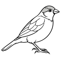 Sparrow Vector Illustration - Detailed Bird SVG Files for Cricut, Clipart, and T-Shirt Graphics