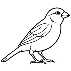 Sparrow Vector Illustration - Detailed Bird SVG Files for Cricut, Clipart, and T-Shirt Graphics