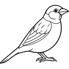 Sparrow Vector Illustration - Detailed Bird SVG Files for Cricut, Clipart, and T-Shirt Graphics