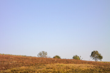 Fototapeta premium Dawn in the steppe, minimalistic landscape.