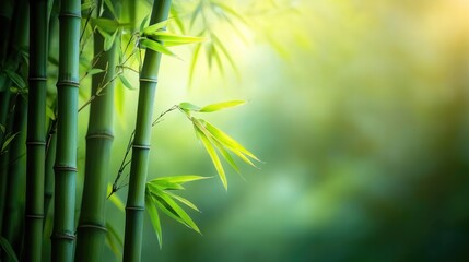 Close-up of green bamboo stalks with leaves, peaceful nature background and environmental conservation concept