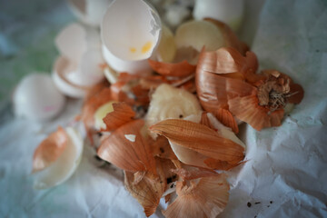 Organic waste leftovers from cooking