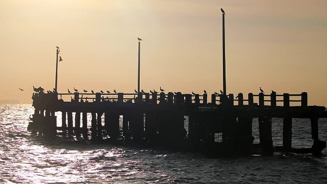 Paracas is a city on the west coast of Peru. It is known for its beaches,