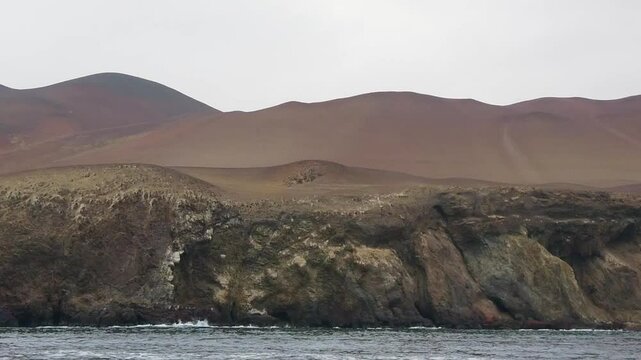 Paracas is a city on the west coast of Peru. It is known for its beaches,