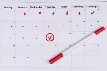 Hand draws red drops on the calendar, then places a red checkmark in a circle - concept of menstrual cycle tracking, ovulation, and pregnancy planning