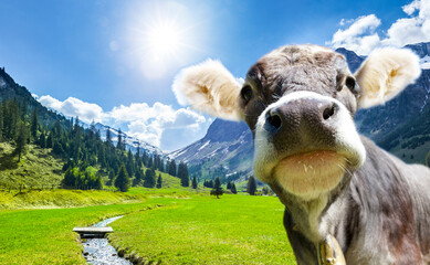 Schöne Schweizer Landschaft im Frühling
