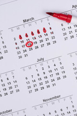 Hand draws red drops on the calendar, then places a red checkmark in a circle - concept of menstrual cycle tracking, ovulation, and pregnancy planning