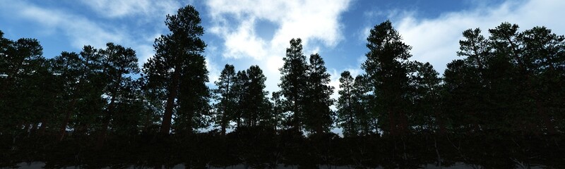 Silhouettes of pine trees against the sky with clouds, panorama of the forest at sunset, 3d rendering
