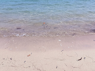 Soft blue ocean wave on fine sandy beach background