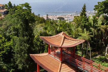 Beautiful view of the tropical garden on a summer day. Funchal. Madeira. Portugal.