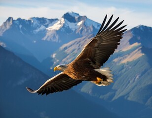 A large eagle is flying over a mountain range